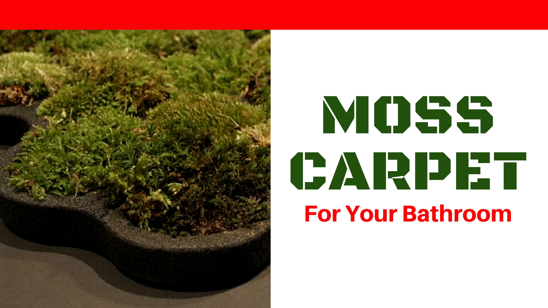 Nguyen La Chanh Moss Carpet Carpet Vidalondon